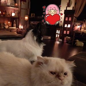 Meet your Posher, Tina